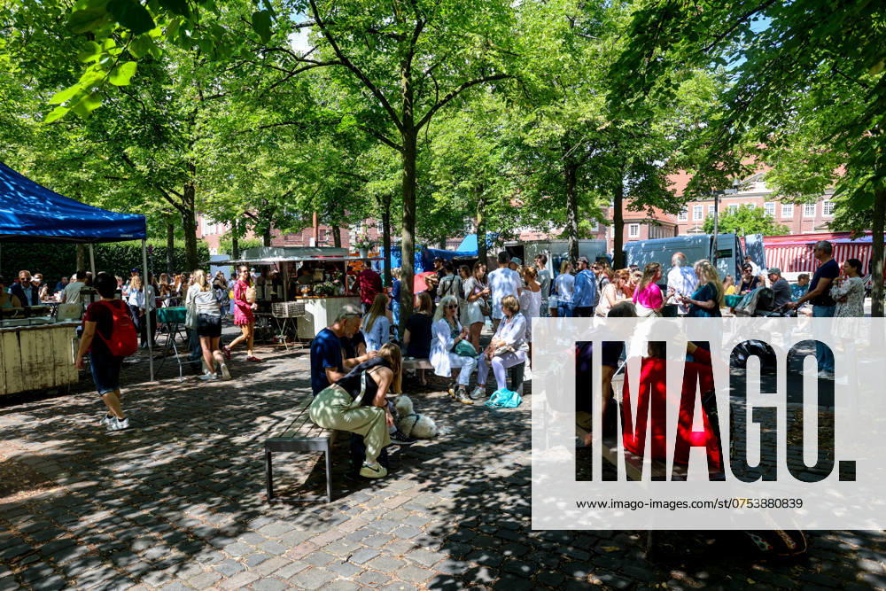 Wochenmarkt auf dem Domplatz. Münster, Nordrhein-Westfalen, DEU, Deutschland