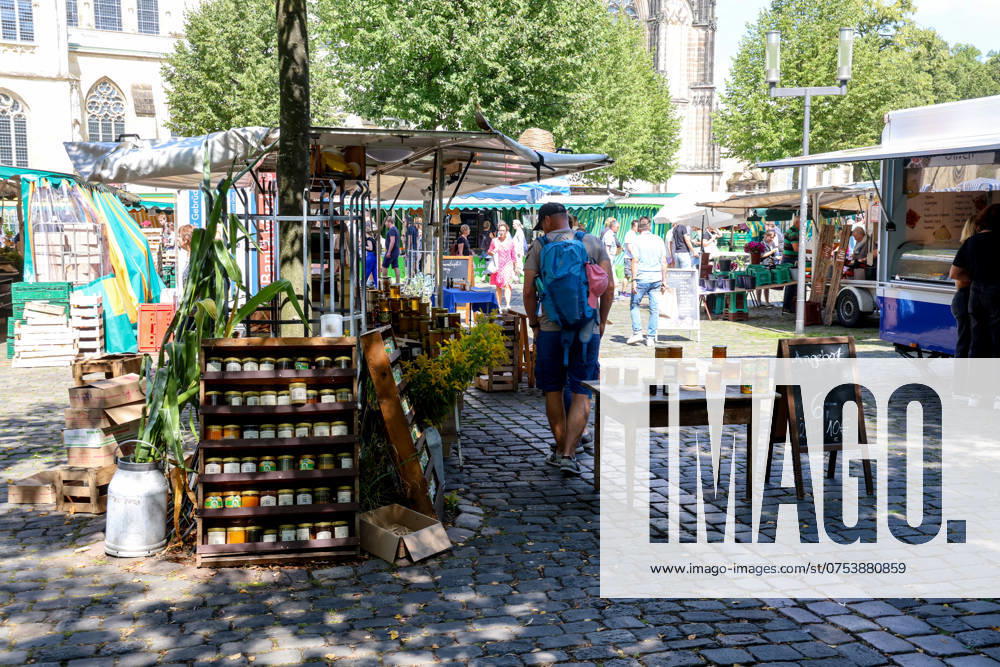 Wochenmarkt auf dem Domplatz. Münster, Nordrhein-Westfalen, DEU, Deutschland