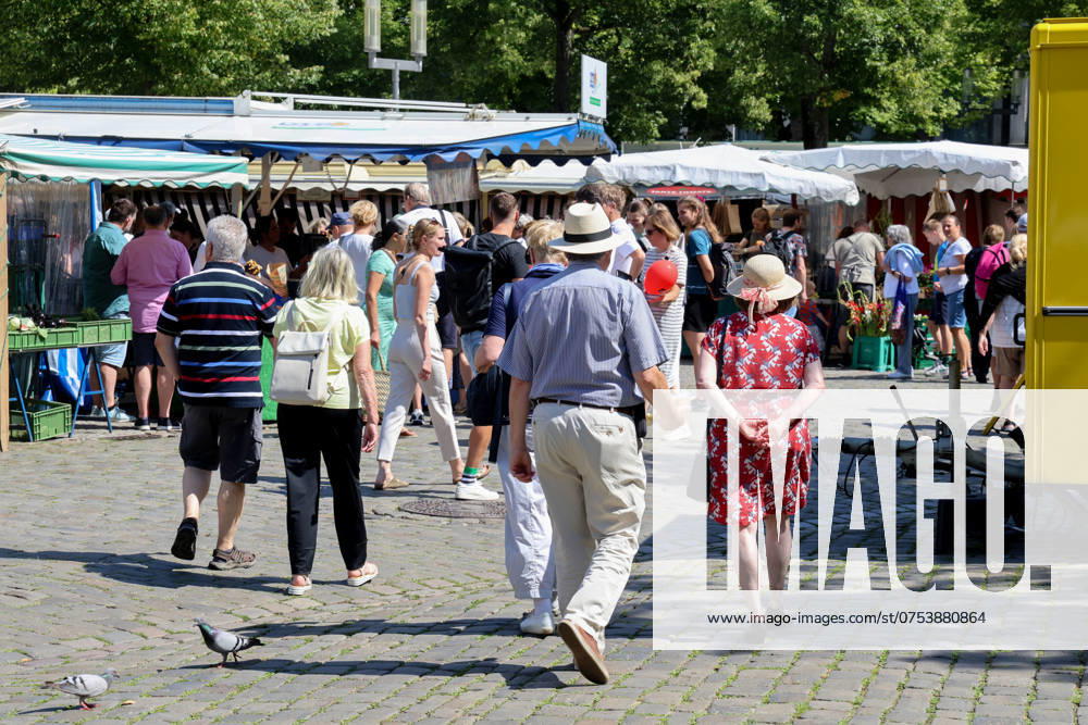 Wochenmarkt auf dem Domplatz. Münster, Nordrhein-Westfalen, DEU, Deutschland