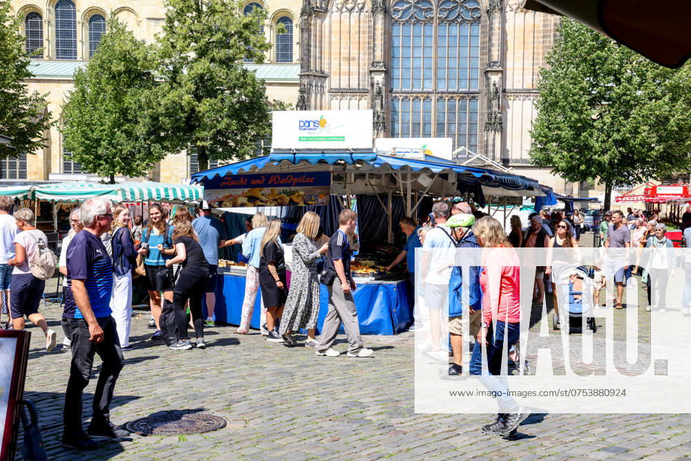 Wochenmarkt auf dem Domplatz. Münster, Nordrhein-Westfalen, DEU, Deutschland