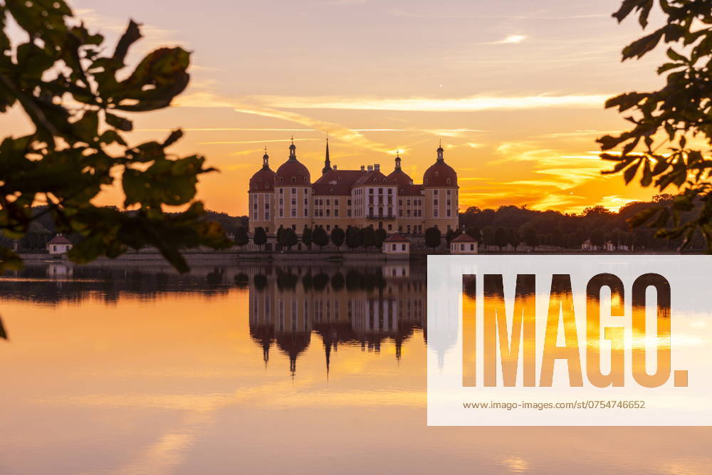 Barockschloss Moritzburg Das auch als Filmkulisse bekannte Wasserschloss, liegt mitten in einem See und ist ein beliebtes Ausflugsziel. Ein Schwanenpaar hat am Seeufer sein Nest errichtet. Moritzburg Sachsen Deutschland