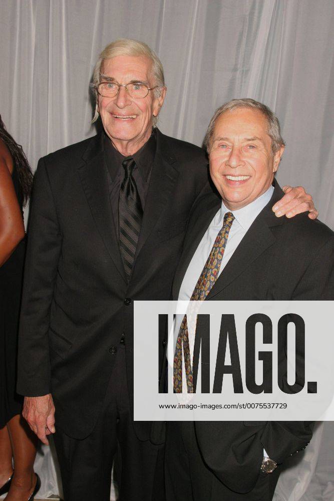 Hollywood, California, U.S. - I13367CHW.THE 35TH ANNUAL VISION AWARDS PRESNTED BY RETINITIS PIGMENTOSA INTERNATIONAL (RPI) .BEVERLY HILLS, BEVERLY HILTON, CALIFORNIA 06-12-2008.MARTIN LANDAU AND MARK RYDELL-DIRECTOR - ZUMAw87_ 20080612_gaf_w87_112