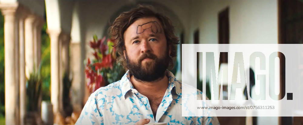 Blink Twice USA. Haley Joel Osment in Blink Twice (C. MGM Warners) is a 2024 American psychological thriller film directed by ZoÃ« Kravitz, in her directorial debut, from a script she co-wrote with E.T. Feigenbaum. The film stars Naomi Ackie, Channing Tatum, Christian Slater, Simon Rex, Adria Arjona, Haley Joel Osment, Kyle MacLachlan, Geena Davis, and Alia Shawkat. A cocktail waitress becomes infatuated with a billionaire tech mogul and travels with him to his private island for a luxurious party, where things begin to go wrong after her friend vanishes. Released August 2024. Captioned 21 August 2024 LMK110-MB027-210824 Supplied by LMKMEDIA. Editorial Only. Landmark Media is not the copyright owner of these Film or TV stills but provides