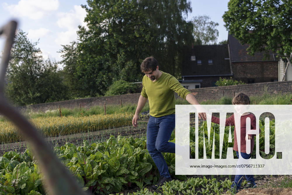 Father holding son s hand and walking amidst plants in farm model released, Symbolfoto property released, JOSEF25985