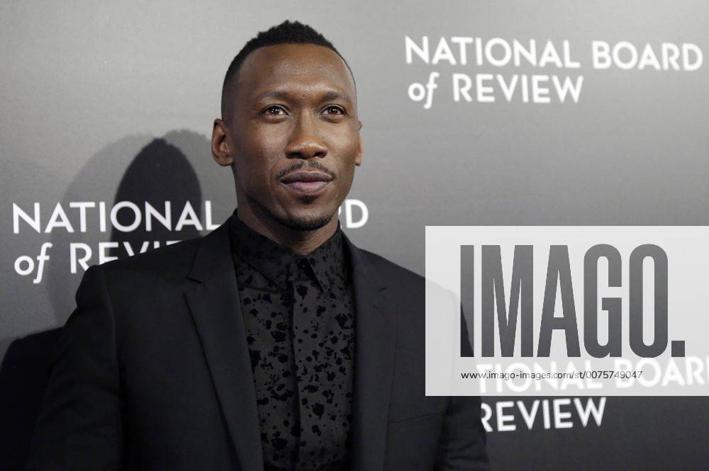 Mahershala Ali arrives on the red carpet at the 2016 National Board of Review Gala at Cipriani 42nd Street on January 4, 2017 in New York City. NYP20170104150 JOHNxANGELILLO