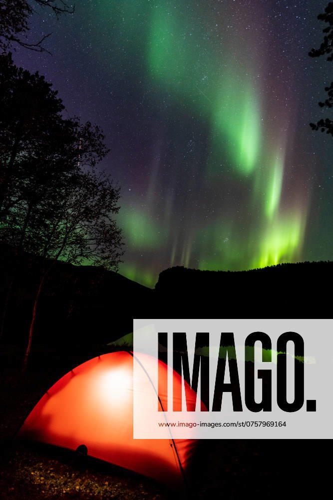 Nordlicht (Aurora borealis) spiegelt sich in einem See, Rago Nationalpark, Nordland, Norwegen, Biwak, Zelt, Beleuchtung, McPGUN McP_GUN_2025_000170