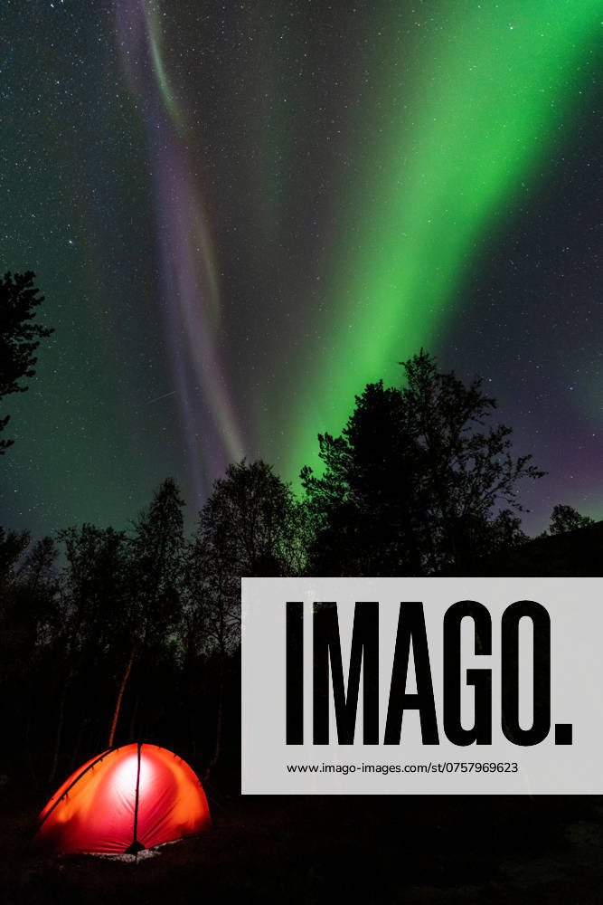 Nordlicht (Aurora borealis) spiegelt sich in einem See, Rago Nationalpark, Nordland, Norwegen, Biwak, Zelt, Beleuchtung, McPGUN McP_GUN_2025_000172