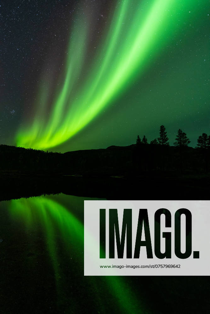 Nordlicht (Aurora borealis) spiegelt sich in einem See, Rago Nationalpark, Nordland, Norwegen, McPGUN McP_GUN_2025_000174