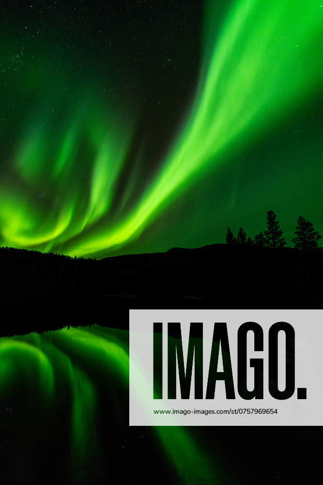 Nordlicht (Aurora borealis) spiegelt sich in einem See, Rago Nationalpark, Nordland, Norwegen, McPGUN McP_GUN_2025_000175