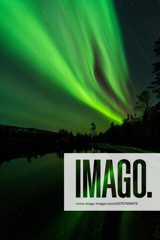 Nordlicht (Aurora borealis) spiegelt sich in einem See, Rago Nationalpark, Nordland, Norwegen, McPGUN McP_GUN_2025_000177