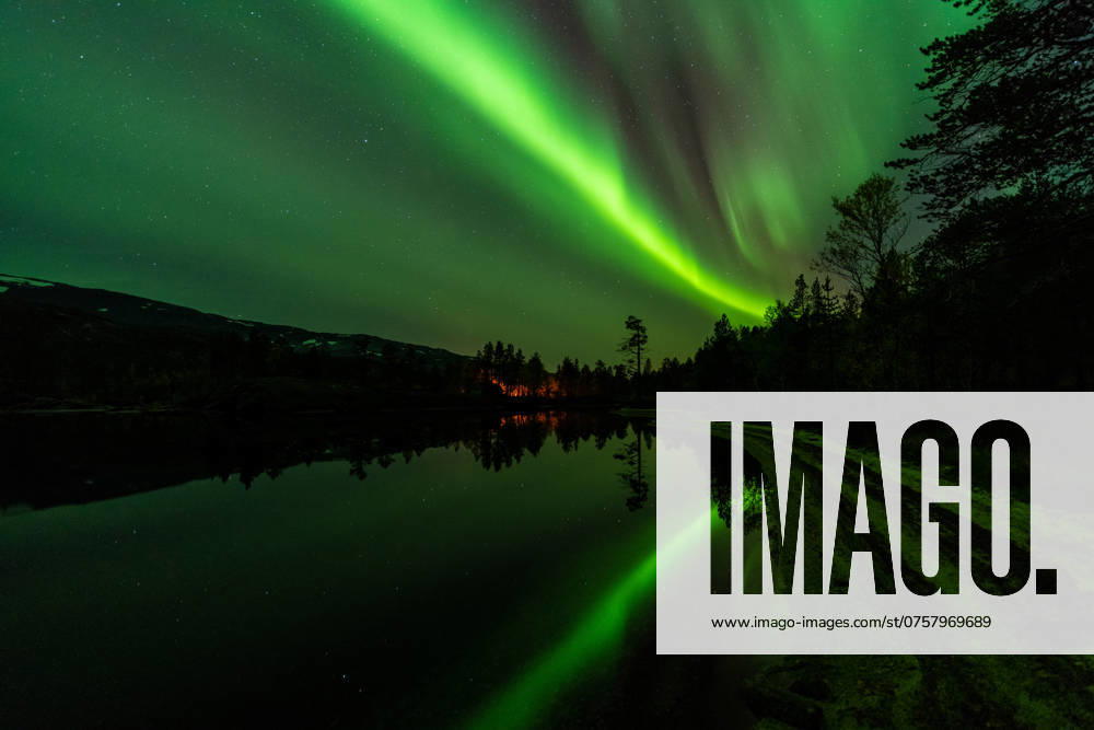 Nordlicht (Aurora borealis) spiegelt sich in einem See, Rago Nationalpark, Nordland, Norwegen, McPGUN McP_GUN_2025_000178