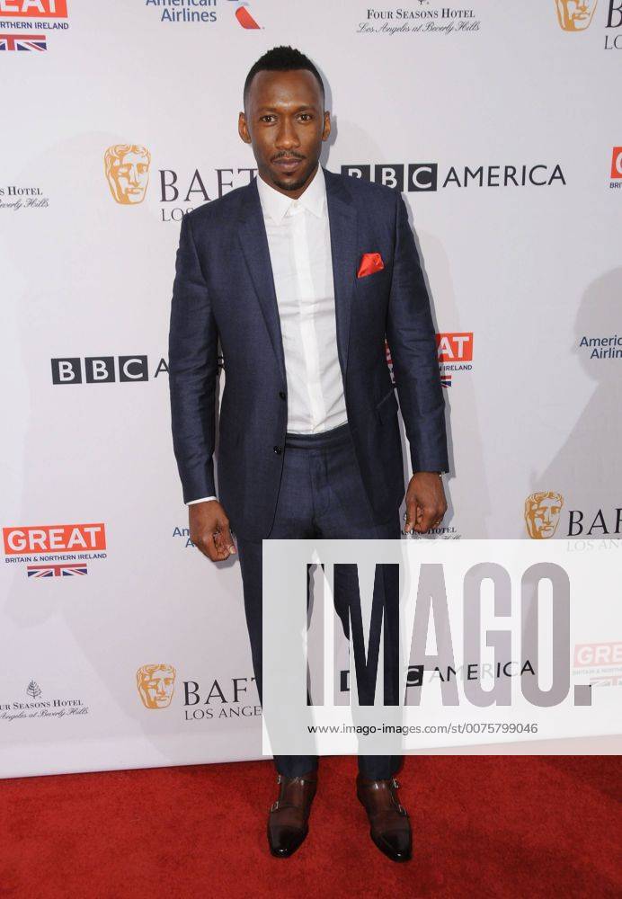 Beverly Hills, CA, United States - 07 January 2017 - Beverly Hills, California - Mahershala Ali. The BAFTA Tea Party held at the Four Seasons Hotel Los Angeles. Photo Credit: AdMedia Beverly Hills United States - ZUMAa123 20170107_zaa_a123_193