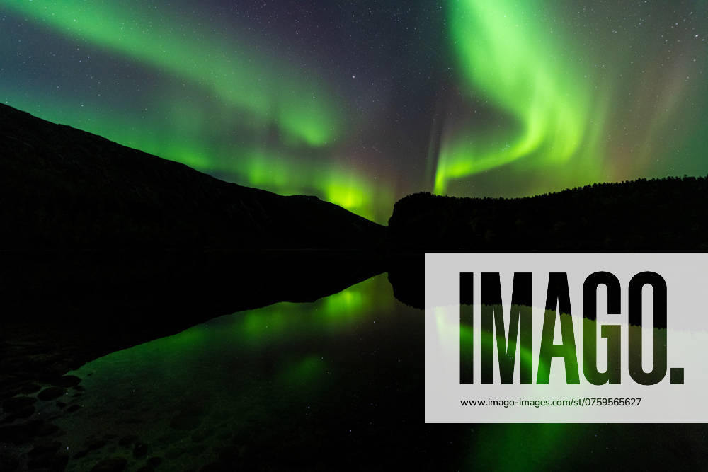 Nordlicht (Aurora borealis) spiegelt sich in einem See, Rago Nationalpark, Nordland, Norwegen, McPGUN McP_GUN_2025_000171