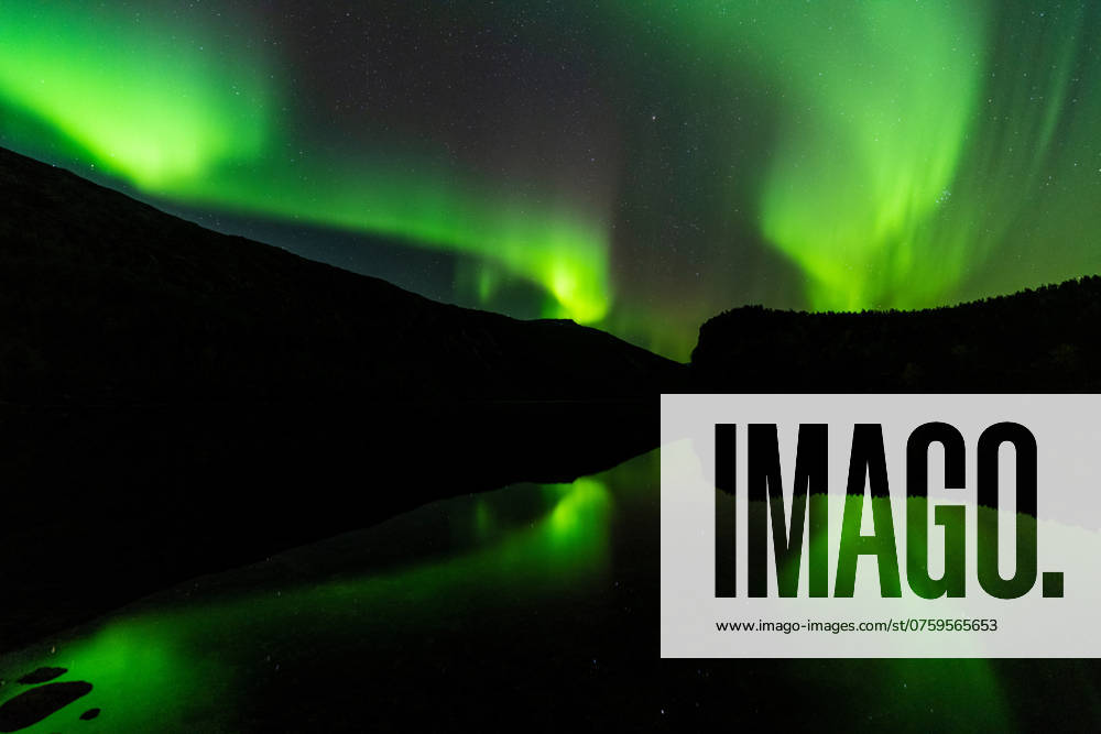 Nordlicht (Aurora borealis) spiegelt sich in einem See, Rago Nationalpark, Nordland, Norwegen, McPGUN McP_GUN_2025_000173