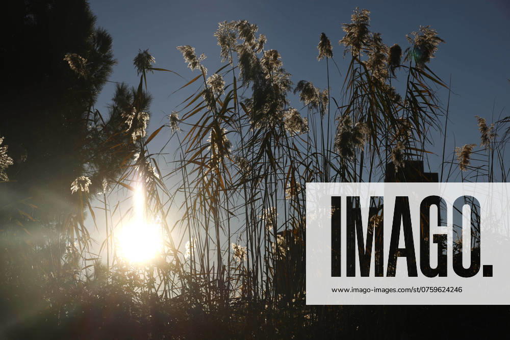 IMAGO Creative, Jahreszeit Sommer, Hitze Aigues-Mortes, Frankreich, 25.12 .2023 Sonnenuntergang in Aigues-Mortes