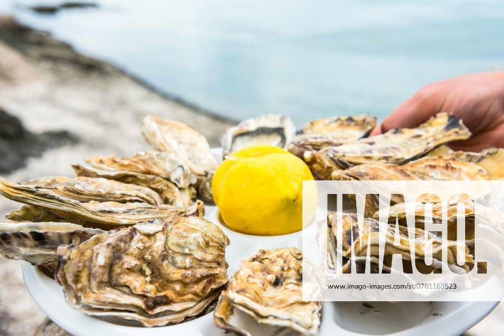 Male hand holding oysters, Male hand holding oysters on a plastic plate near the sea, Male hand holding oysters on a plastic plate near the sea, 20.08.2024,