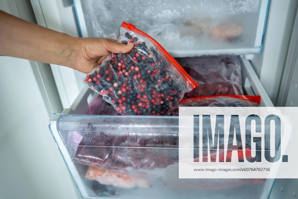 Girl hand taking frozen lingonberry, blueberry mix in bag from freezer. Stocking up for winter, diet Unseen woman hand taking frozen lingonberry, blueberry mix in bag from freezer. Stocking up for winter, nutrient rich diet, berry benefits, immunity boost, healthy fillings, seasonal food preserves