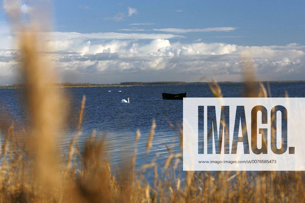 Zingst, Mecklenburg-Vorpommern, DEU - Ansicht des Nationalpark Vorpommersche Boddenlandschaft. (Uebersicht, Panorama, Wasserstrasse, Natur, Herbst, Wetter, Sonnenschein, Bodden, Boddenlandschaft, Nationalpark, Nationalpark Vorpommersche Boddenlandschaft, Barther Bodden, Halbinsel, Landschaft, Ostsee, Kueste, Kuestenlandschaft, Ostseekueste, Fischland, Darss, Zingst, Ferien, Urlaub, Tourismus, Erholung, Idylle, idyllisch, friedlich, Wasser, See, Schilf, Gras, Graeser, Pflanzen, Schwan, Tier, Vogel, Boot, Natur, Naturschutz, Himmel, Wolken, sonnig, Sonnenschein, Horizont, Weite, Aussenaufnahme, Herbstwetter, goldener Herbst, Licht, Lichtstimmung, digital, QF, Küste, Ostseeküste, Küstenlandschaft, Gräser, Übersicht) 00S051119D020.JPG MODEL RELEASE: NO MR:N