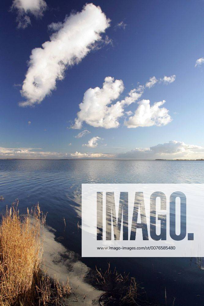 Zingst, Mecklenburg-Vorpommern, DEU - Ansicht des Nationalpark Vorpommersche Boddenlandschaft. (Bodden, Boddenlandschaft, Nationalpark, Nationalpark Vorpommersche Boddenlandschaft, Barther Bodden, Landschaft, Ostsee, Kueste, Kuestenlandschaft, Ostseekueste, Fischland, Darss, Zingst, Halbinsel, Ferien, Urlaub, Tourismus, Erholung, Idylle, idyllisch, einsam, Einsamkeit, Ruhe, ruhig, Wasser, See, Schilf, Gras, Graeser, Pflanzen, Pflanze, Natur, Naturschutz, Himmel, Wolken, sonnig, Sonnenschein, Horizont, Weite, Spiegelung, Aussenaufnahme, Wetter, Herbst, Naturschutzgebiet, Schutzgebiet, Mecklenburg-Vorpommern, Mecklenburg Vorpommern, Herbstwetter, goldener Herbst, Licht, Lichtstimmung, digital, HF, Küste, Ostseeküste, Küstenlandschaft, Gräser) 00S051119D025.JPG MODEL RELEASE: NO MR:N