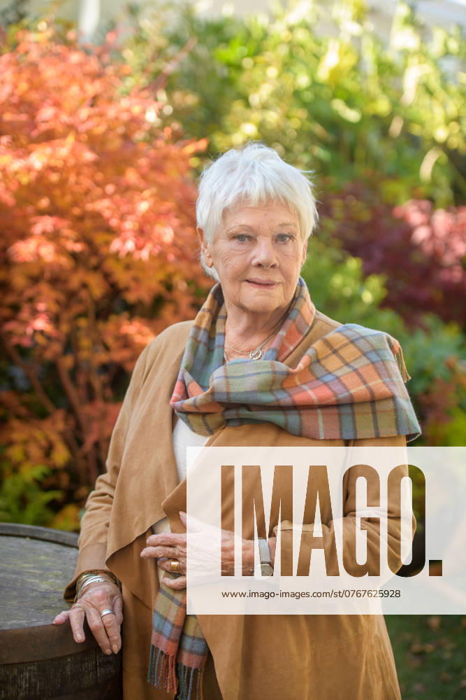 Judi Dench 4th October 2024. Dame Judi Dench at the Times and Sunday Times Cheltenham Literature Festival.