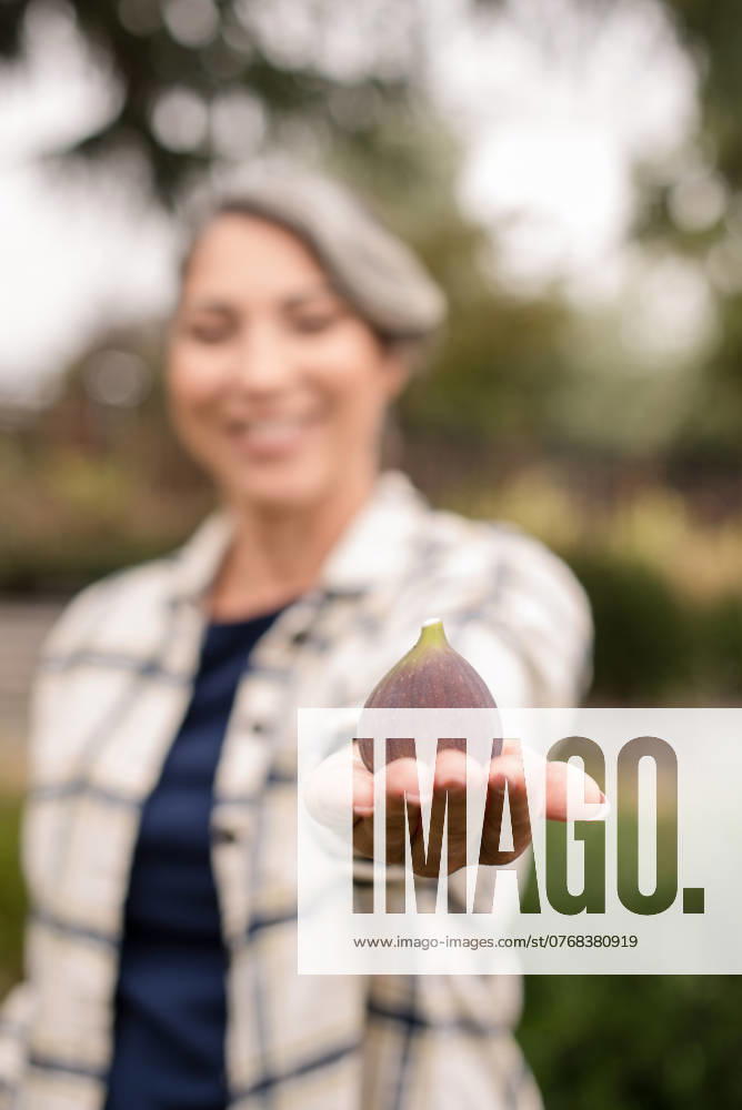 Woman holding out a purple fig with her hand Napa, California, United States R_HOOX241007-1551446-01 ,model released, Symbolfoto