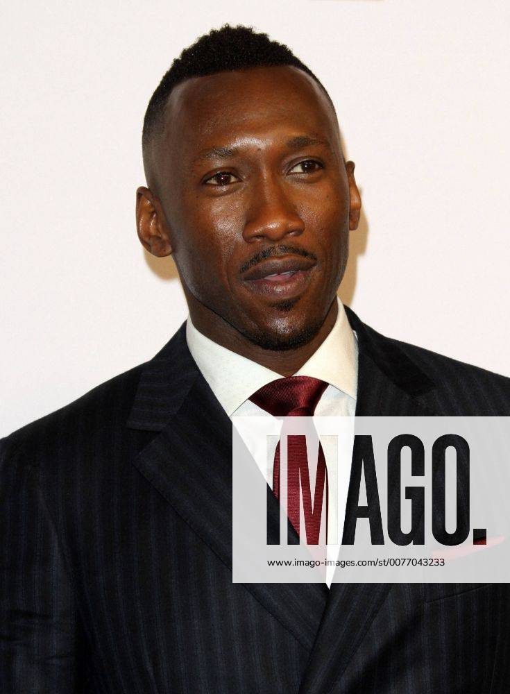 Beverly Hills, CA, United States - 6 February 2017 - Los Angeles, California - Mahershala Ali... 89th Oscars Nominees Luncheon held in the Grand Ballroom at the Beverly Hilton Hotel in Beverly Hills. Photo Credit: AdMedia Beverly Hills United States - ZUMAa123 20170206_zaa_a123_106