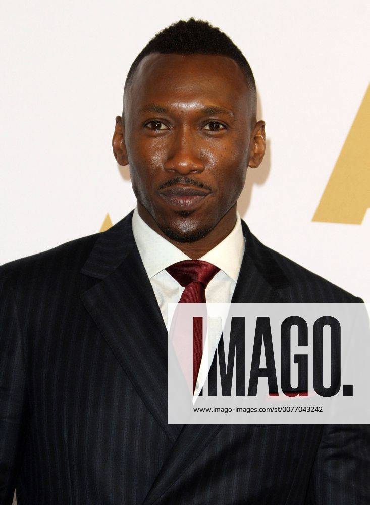 Beverly Hills, CA, United States - 6 February 2017 - Los Angeles, California - Mahershala Ali... 89th Oscars Nominees Luncheon held in the Grand Ballroom at the Beverly Hilton Hotel in Beverly Hills. Photo Credit: AdMedia Beverly Hills United States - ZUMAa123 20170206_zaa_a123_114