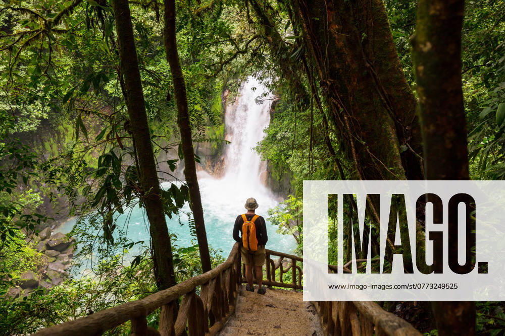 Hike in Costa Rica Hiking in green tropical jungle, Costa Rica, Central America ,model released, Symbolfoto