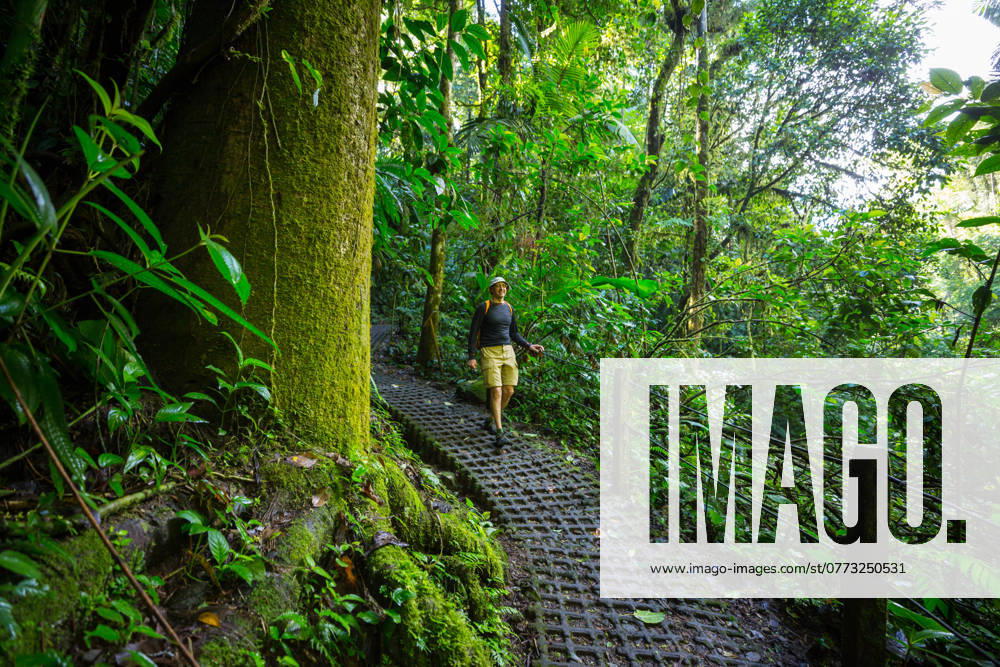 Hike in Costa Rica Hiking in green tropical jungle, Costa Rica, Central America ,model released, Symbolfoto