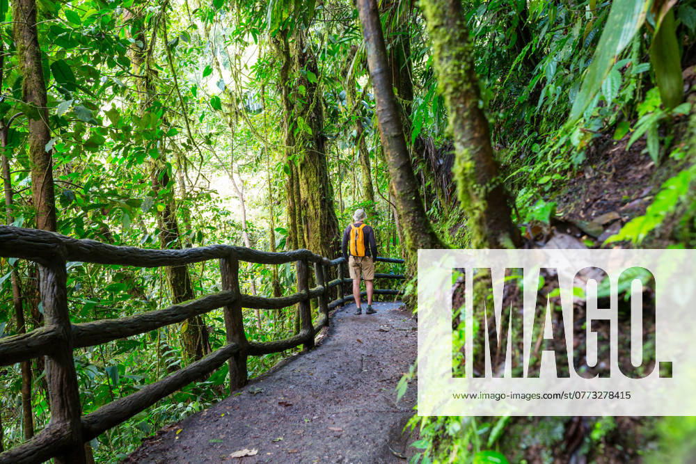 Hike in Costa Rica Hiking in green tropical jungle, Costa Rica, Central America ,model released, Symbolfoto