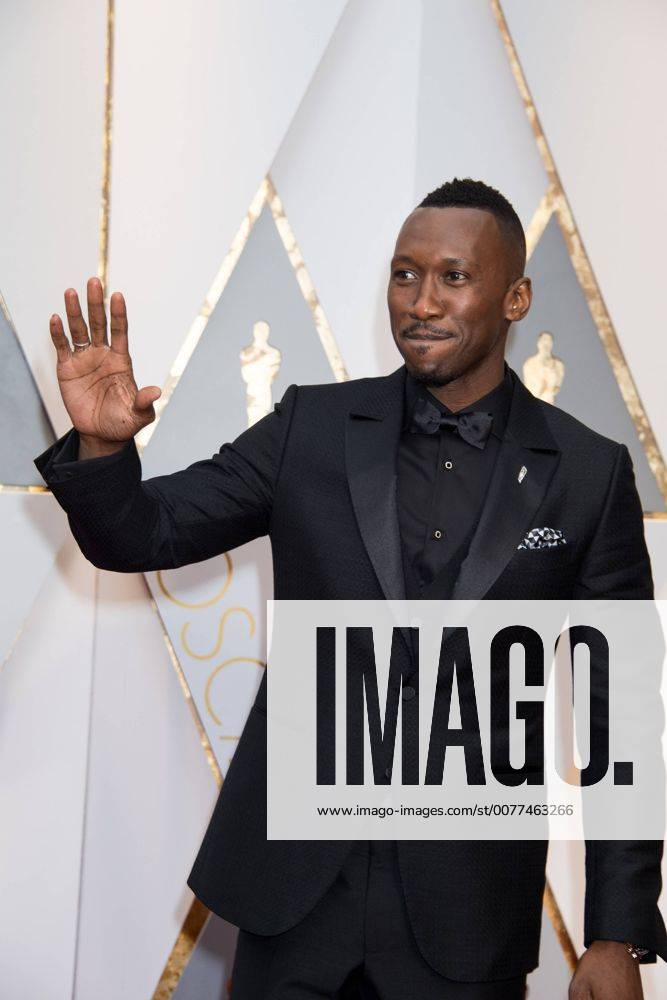 Feb 26, 2017 - Hollywood, California, U.S - Oscar®-nominee MAHERSHALA ALI arrives at The 89th Oscars® at the Dolby® Theatre in Hollywood, CA on Sunday, February 26, 2017. Hollywood U.S - ZUMAz03_ 20170226_sho_z03_492