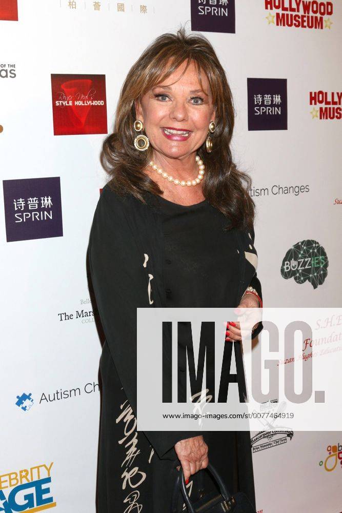 LOS ANGELES - FEB 26: Dawn Wells at the Style Hollywood Oscar Viewing Dinner at Hollywood Museum on February 26, 2017 in Los Angeles, CA