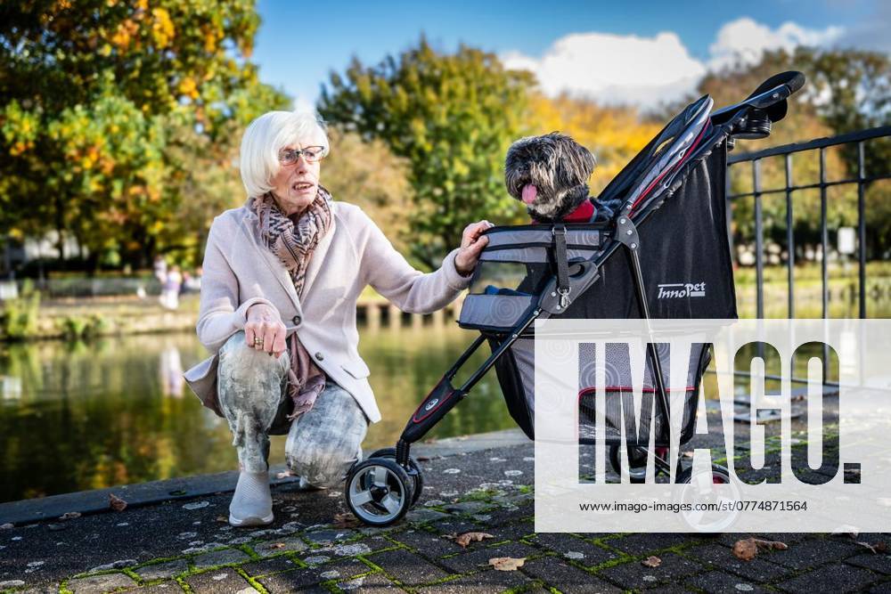 Ursula Hartmann kniet am Dienstag, 22.10.2024, am Wasserbahnhof in Mülheim an der Ruhr neben ihrem 14-jährigen blinden und schwerhörigen Hund Tara, der in einem Kinderwagen sitzt. In der Vorwoche war der altersschwache Hund der tibetanischen Rasse Lahsa Apso ins Schleusenbecken gefallen, woraufhin seine 75-jährige Besitzerin hinterhergesprungen ist und schließlich mitsamt ihrem Tier von Passanten aus dem Wasser gezogen werden musste. Deutschland NRW Mülheim