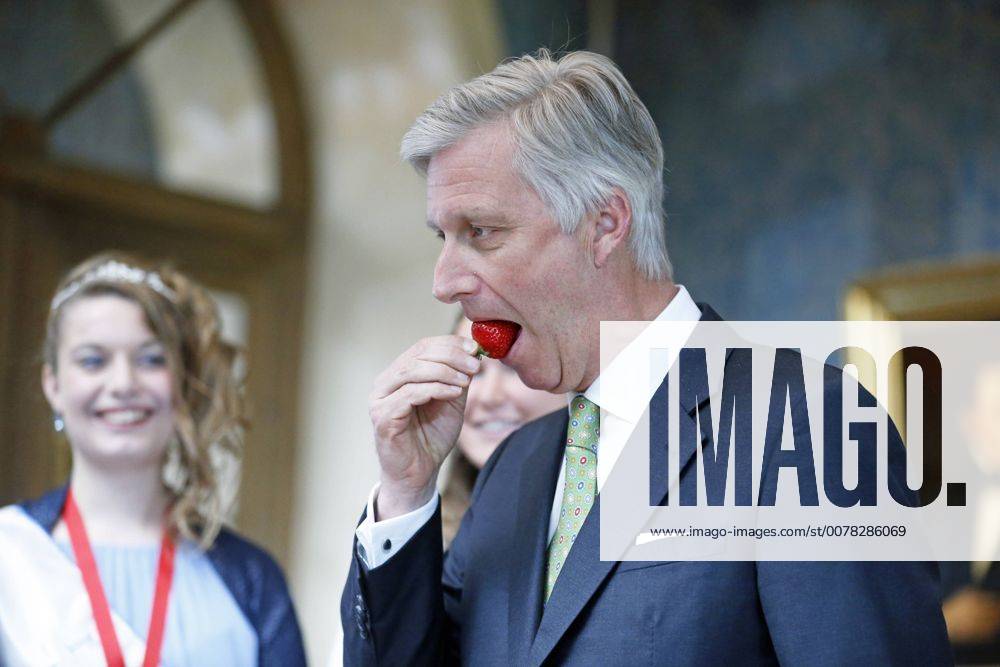 King Philippe - Filip of Belgium pictured with a delegation of the workers committee of the city of Beveren who bring this year s first strawberries to the King, at the Royal Palace in Brussels, Thursday 27 April 2017. NICOLASxMAETERLINCK 05088649