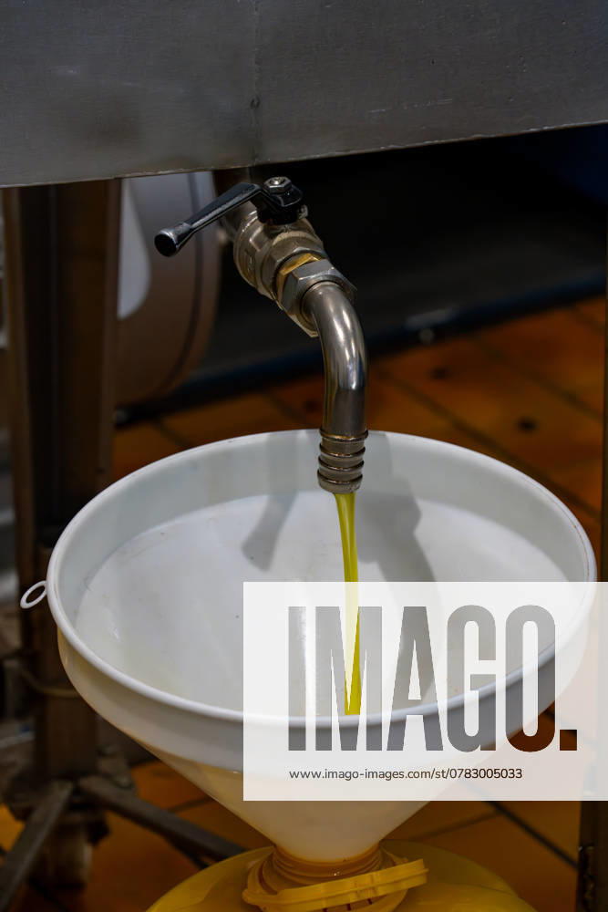 Filtered extra virgin olive oil is dispensed into a container after processing in an olive oil mill in Italy. Fara in Sabina Lazio Italy