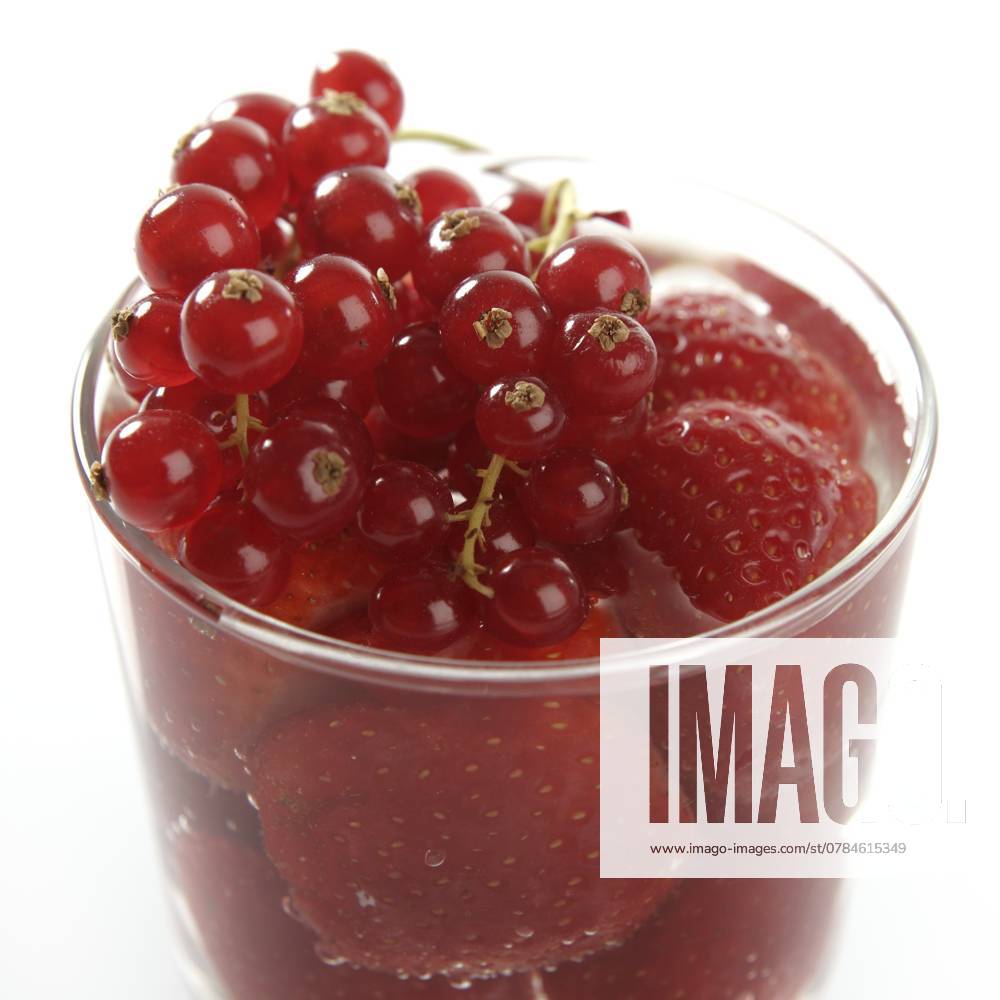 Glasbecher voll mit Erdbeeren und roten Johannisbeeren im Studio in weißem Hintergrund Glass cup full of strawberries and redcurrant at studio in white background