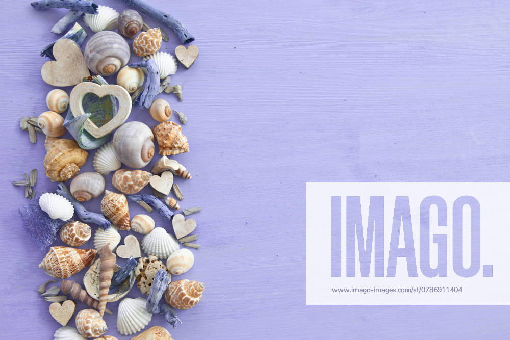 Hintergrund mit Muscheln