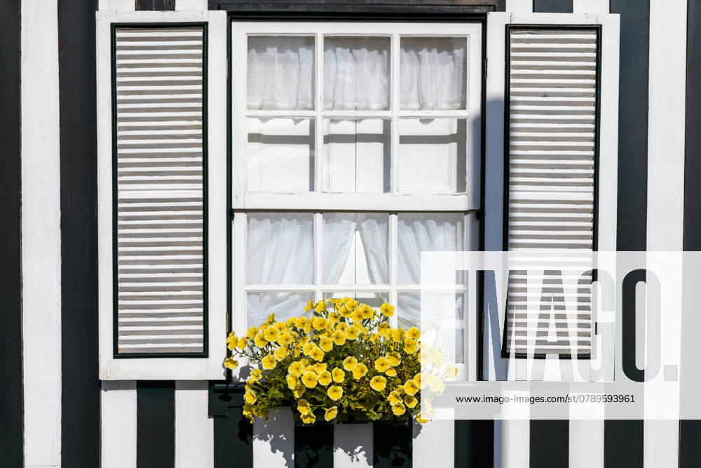 Colored Windows of Costa Nova do Prado , Portugal. Windows in typical small wooden house with colorful stripes in Costa Nova. Aveiro. Portugal. Detail of the house in famous resort Costa Nova. , 31810534.jpg, portugal, nova, aveiro, costa, house, colorful, architecture, blue, white, red, stripes, window, design, typical, color, home, striped, street, wood, portuguese, sunny, resort, picturesque, cozy, green, decoration, bright, balcony, costa nova, beach, ilhavo, prado, cityscape, facade, costa nova do prado, praia da costa nova, beach house, wooden, traditional, multicolored, palm tree, flower-bed, fisherman, windows, striped house, fisherman s village, seaside, aveiro district, atlantic ocean, travel destinations RECORD DATE NOT STATED