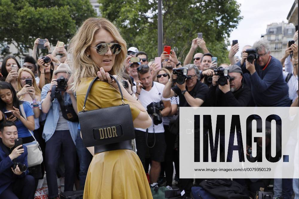 PARIS FASHION WEEK - HAUTE COUTURE FW 2017 18 - ARRIVALS AT CHRISTIAN DIOR FASHION SHOW Celine Dion Paris France 530537