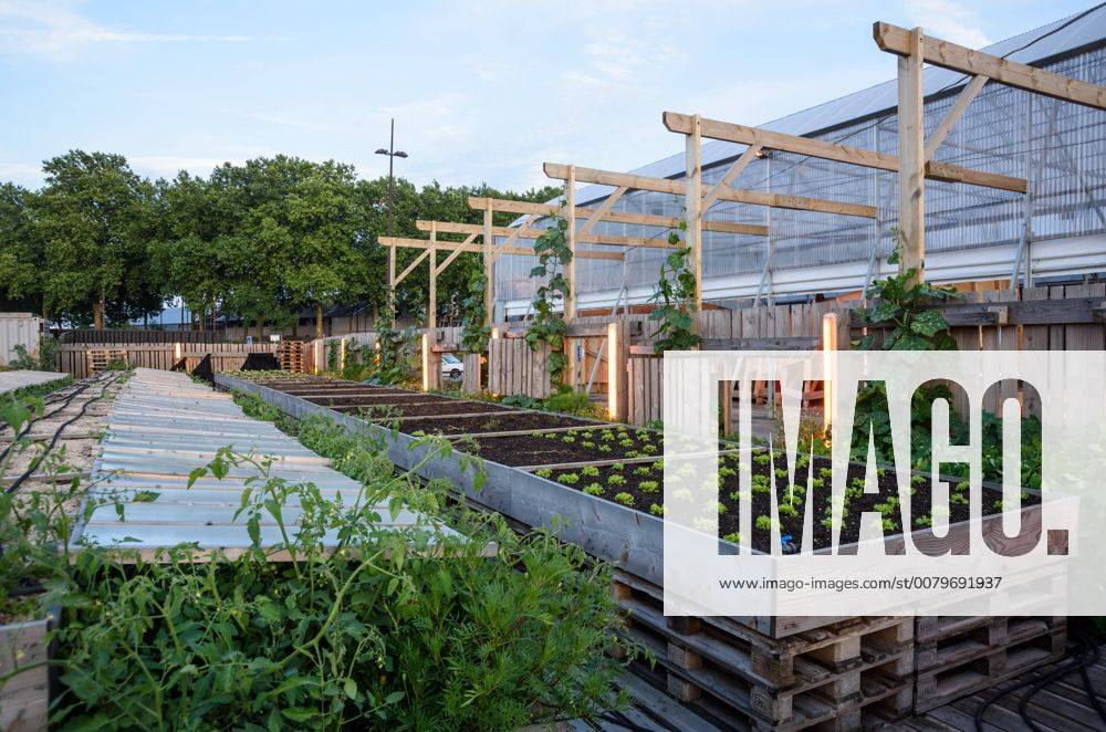 IMAGO Creative: Corporate: Klimaschutz, Digitalisierung und Urbanisierung Nantes, Restaurant La Cantine du Voyage, Urban Gardening