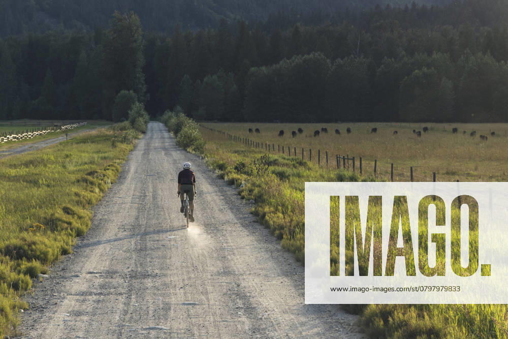 Cyclist riding a dirt trail surrounded by nature in a quiet rural area Canada, British Columbia, Pemberton CR_PSFZ250124-1624956-01 ,model released, Symbolfoto