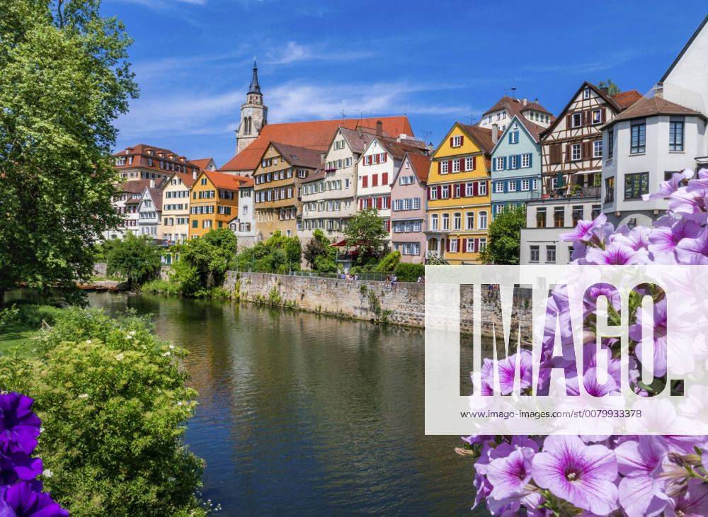 Deutschland - Flüsse, Neckar Tuebinger Altstadt mit Stiftskirche am Neckar, Deutschland, Baden-Wuerttemberg, Tuebingen Houses at the Neckar river in Tuebingen with chruch Stiftskirche, Germany, Baden-Wuerttemberg, Tuebingen BLWS461557
