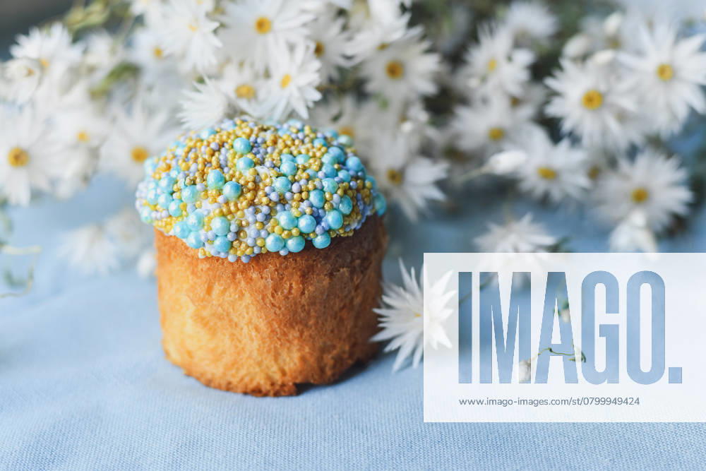 Orthodox Easter cake decorated with beads and daisies in the blue background , 49427484.jpg, april, background, baked, bakery, beads, blue, bread, breakfast, brioche, cake, candy, celebrate, celebration, chamomile, colorful, culture, daisies, decor, decorated, decoration, dessert, easter, egg, eggs, flower, food, fresh, frosting, fruit, gourmet, green, holiday, icing, meal, orthodox, pastry, pearl, pie, raisin, religion, Russian, spring, sugar, sweet, table, tradition, traditional, ukrainian, white, yellow RECORD DATE NOT STATED
