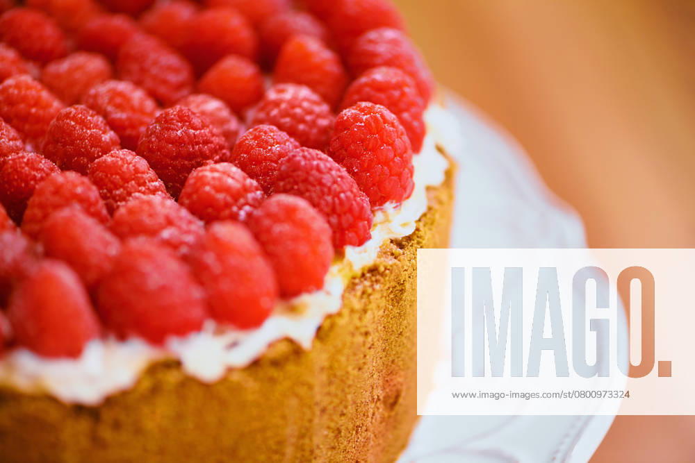 Raspberry redemption. a delicious cheese cake topped with cream and fresh raspberries , 50294966.jpg, delicious, cheese, cake, cream, fresh, vanilla, mmmm, cheesecake, bakery, berries, table, fruit, raspberry, home, natural, one, food, closeup, inside, red, nobody, cropped, indoors, consumables, zoom, easter, sweet, product, counter, organic, simple, tempting, dish, object, dessert, detail, berry, whole, baked, festive, treat, gourmet, tasty, homemade, tradition, ripe, wholesome, countertop, icing, mmm RECORD DATE NOT STATED