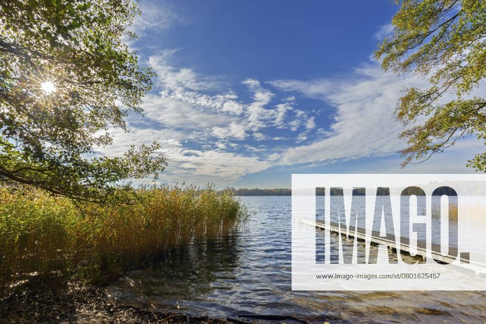 Holzsteg am Schaalsee im Herbst, Herbst, Biosphärenreservat Schaalsee, Schleswig Holstein, Deutschland, Europa Wooden jetty at lake Schaalsee in autumn, fall, Biosphärenreservat Schaalsee, Schleswig-Holstein, Germany, Europe