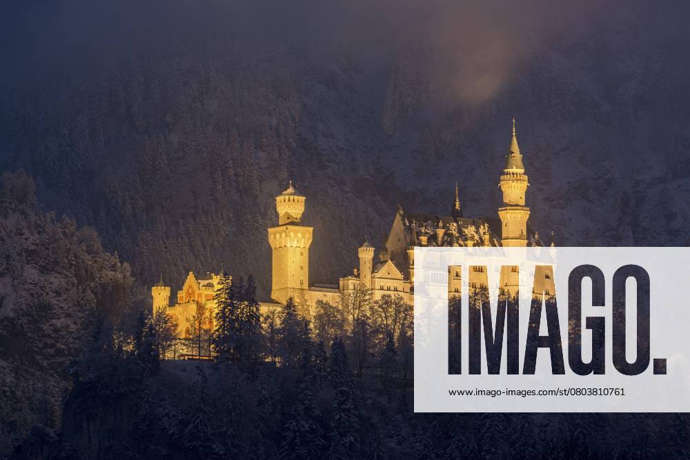 Ein bezaubernd beleuchtetes Schloss thront über einem verschneiten Bergwald, Neuschwanstein, Schwangau, Ostallgäu, Allgäu, Schwaben, Oberbayern, Bayern, Deutschland, Europa An enchantingly illuminated castle towers over a snow-covered mountain forest, Neuschwanstein, Schwangau, Ostallgäu, Allgäu, Swabia, Upper Bavaria, Bavaria, Germany, Europe