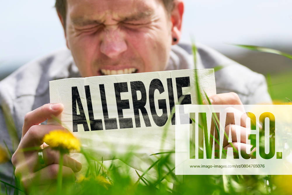 FOTOMONTAGE, ein Mann hält ein Taschentuch mit dem Wort Allergie, während er die Augen zusammenkneift. Pollen und Gräser in der Luft lösen eine starke Reaktion aus. Juckreiz, Niesen und tränende Augen.