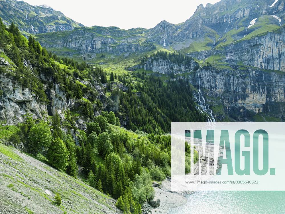Eine ruhige Berglandschaft mit einem türkisfarbenen See und dichten Waldrändern, Natur, Wasser, Eis, Gletscherströme, Bergsee, See, Oeschinensee, Oeschinensee oberhalb von Kandersteg, Schweizer Alpen, Schweiz, Europa A serene mountainous landscape with a turquoise lake and dense forestillsides, nature, water, ice, glacial streams, mountain lake, lake, Oeschinensee, Lake Oeschinen above Kandersteg, Swiss Alps, Switzerland, Europe