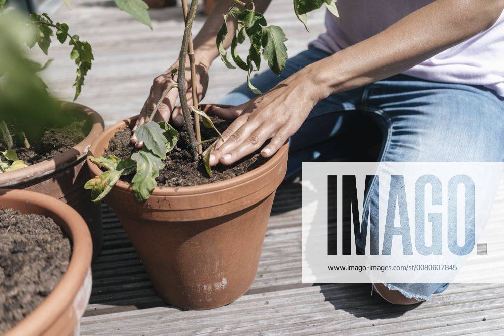 Woman caring for plants on balcony model released Symbolfoto property released JOSF01555