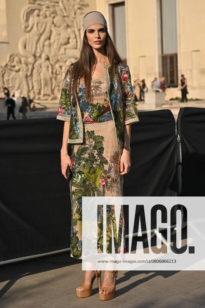 PFW Elie Saab Outside Arrivals Guest arriving at Elie Saab show during Paris Fashion Week in Paris, France on March 8, 2025. Photo by Julien Reynaud APS-Medias ABACAPRESS.COM Paris France